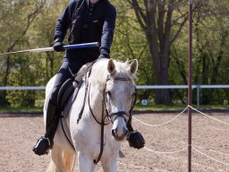 2021 Ringridning